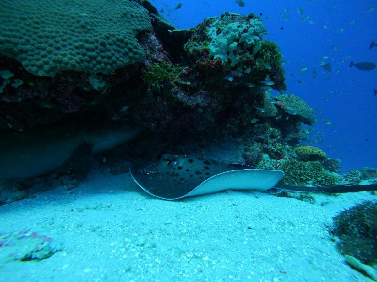 Coral Beach Maldives Hangnaameedhoo Buitenkant foto